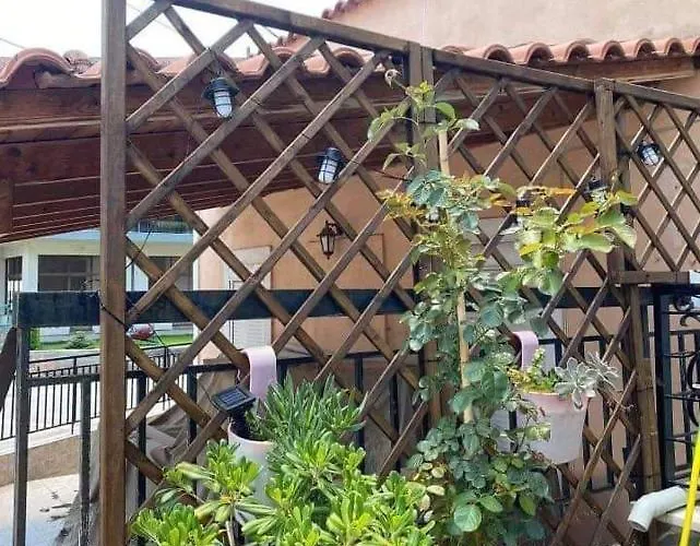 Sady\'S House